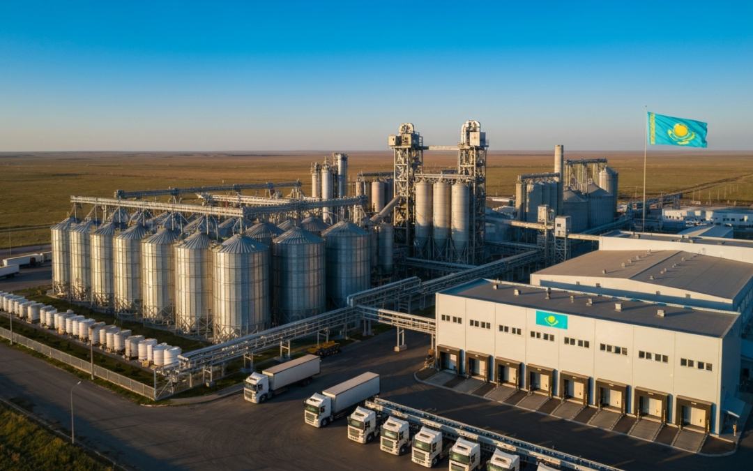 Современный завод по выпуску сухих строительных смесей в Казахстане с элементами государственной поддержки и инфраструктурой СЭЗ