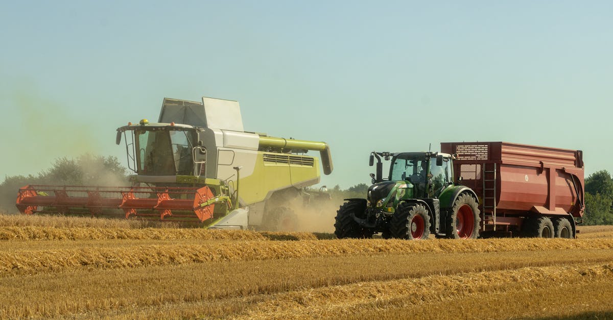 Бизнес-планы в сфере сельского хозяйства 1 A combine harvester and tractor operate in a sunlit wheat field, capturing the essence of modern agriculture.