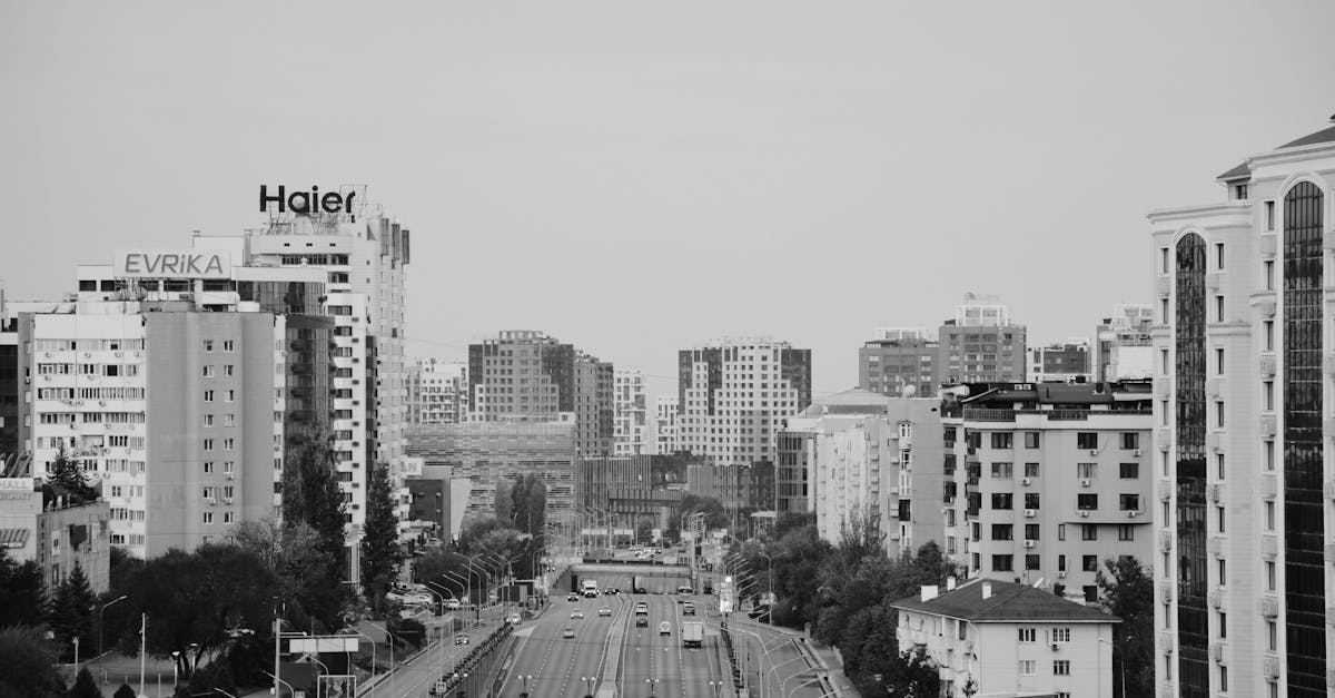A striking black and white cityscape of Almaty, capturing the urban skyline with modern buildings.