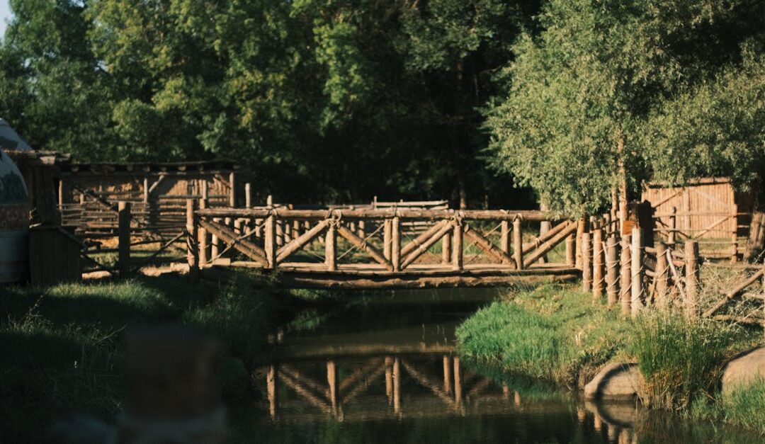 A rustic wooden footbridge spans a calm stream in a serene forest environment.