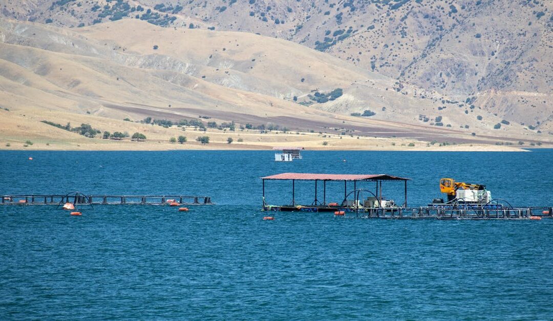 A picturesque view of Keban Reservoir with fish farms in Pertek, Tunceli, Türkiye.