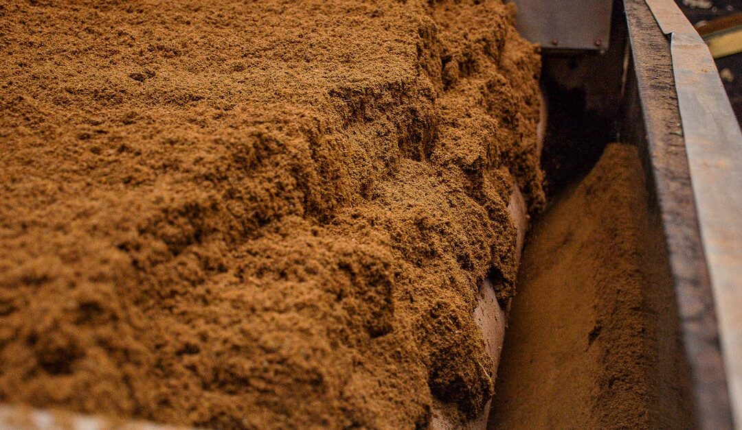 Detailed view of brown soil on an industrial conveyor belt inside a processing facility.