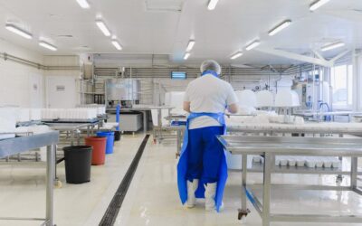 ТЭО клининговой компании и производства моющих средств в Казахстане