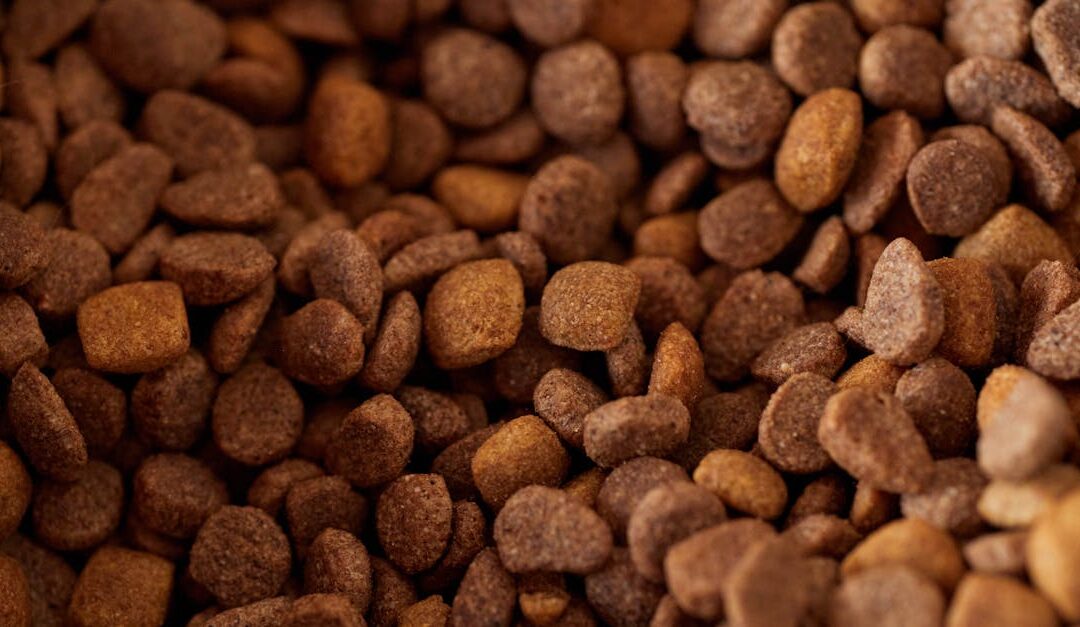 Detailed close-up of dry dog food kibble, showcasing its texture and color.