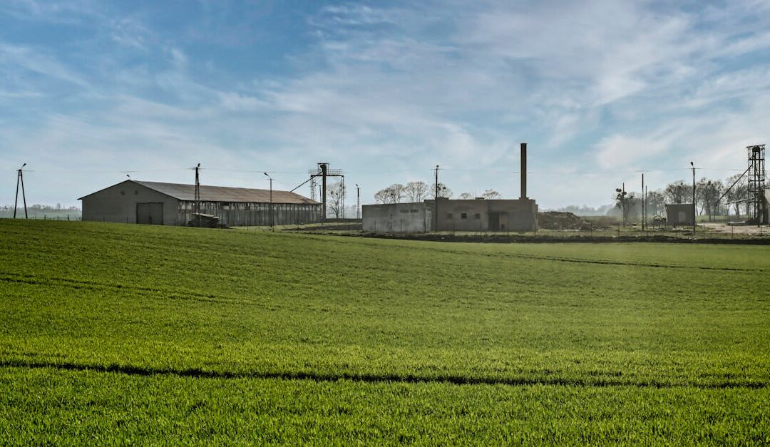 A serene view of lush farmland against a rural backdrop in Toruń, Poland.