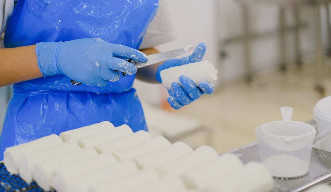 Worker processing cheese with gloves in a sterile dairy factory environment.