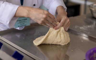 ТЭО пищевого производства в Казахстане: HACCP, каналы сбыта и финансовые показатели