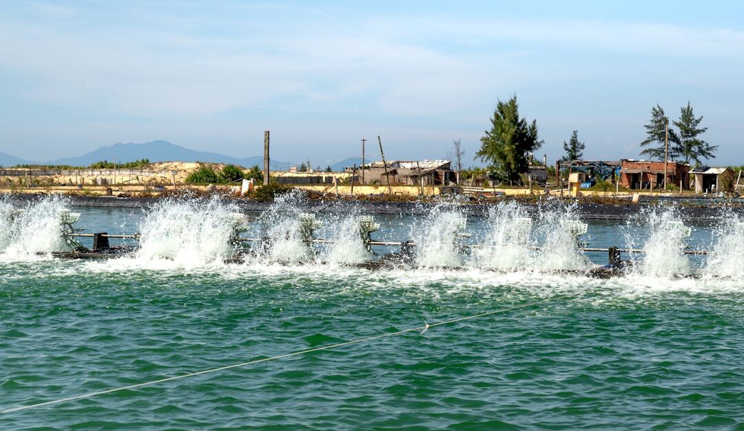 A high-powered water aerator in action at an aquaculture facility, creating a vibrant splash.
