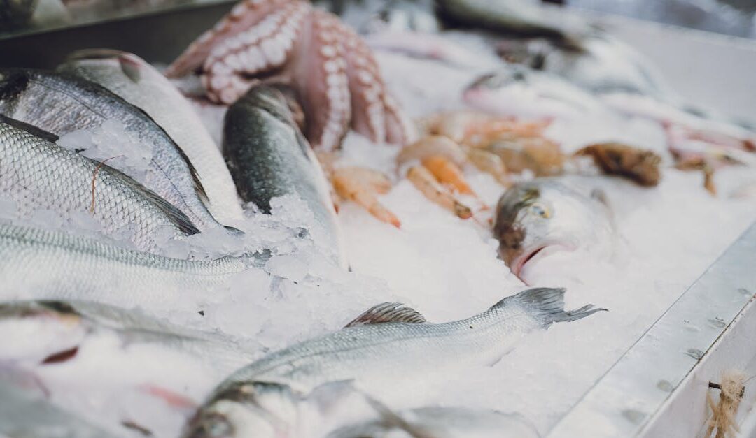 Raw fish and seafood on ice at a bustling Turkish fish market. Perfect for culinary and travel themes.