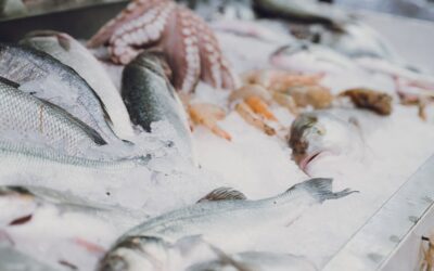 Блог 2 ТЭО производства рыбной продукции в Казахстане