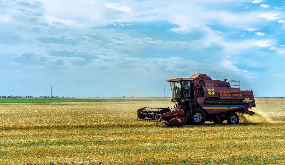 Combine harvester operating in a golden wheat field amidst the vast landscape of Ukraine.