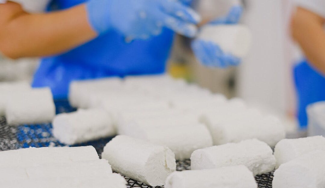 Artisan goat cheese being prepared in a dairy factory by workers in blue aprons.