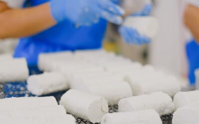 Блог 5 ТЭО сыродельного завода и производства молочных продуктов в Казахстане