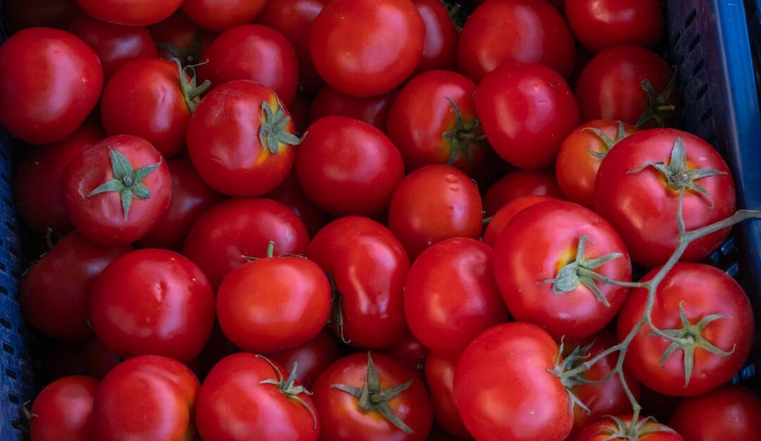 Vibrant red tomatoes on display in Izmir market. Perfect for salads and cooking.