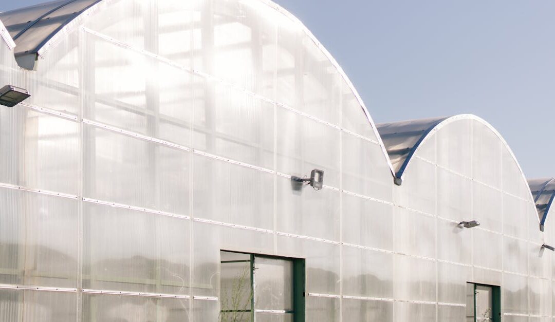 A modern greenhouse with an arched roof design under a clear blue sky in daylight.