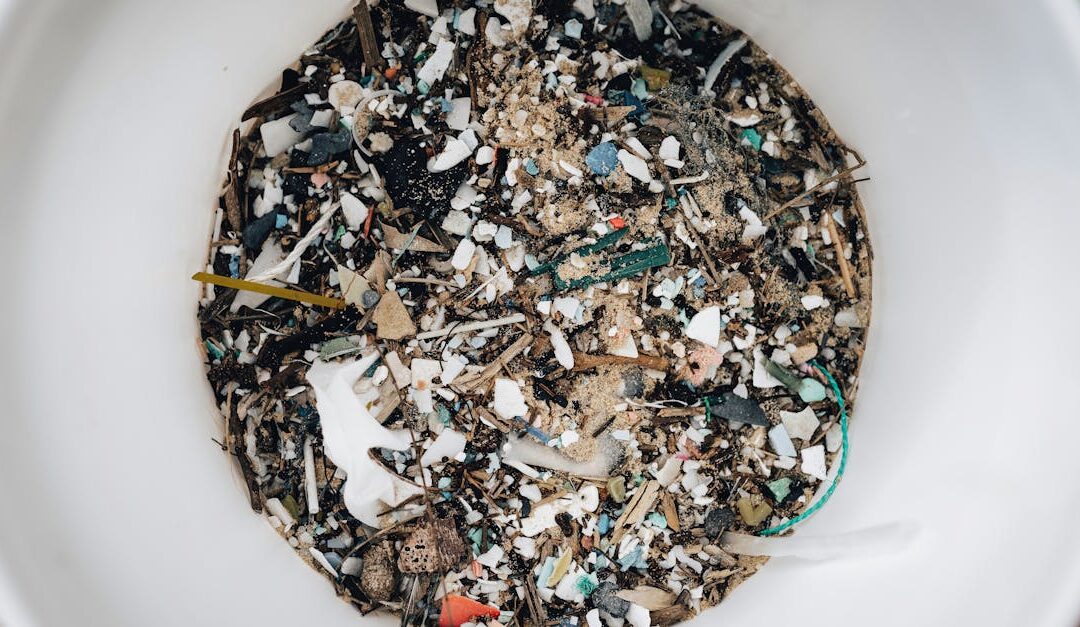 Detailed view of microplastics and debris collected in a white circular container showing pollution.