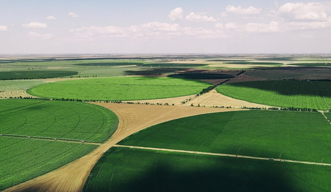 Breathtaking aerial view of expansive green farmland with circular patterns under sunny skies.