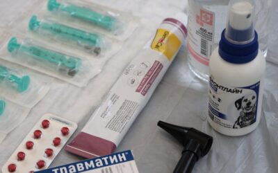 ТЭО производства ветеринарных препаратов в Казахстане