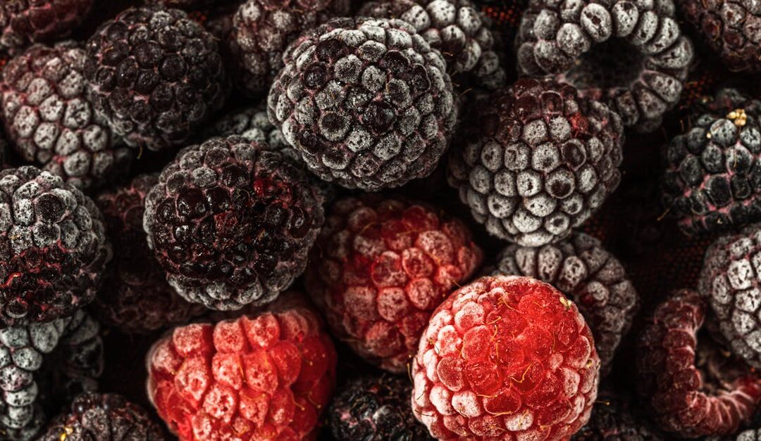 Detailed close-up of frozen raspberries and blackberries showcasing their texture and icy appearance.