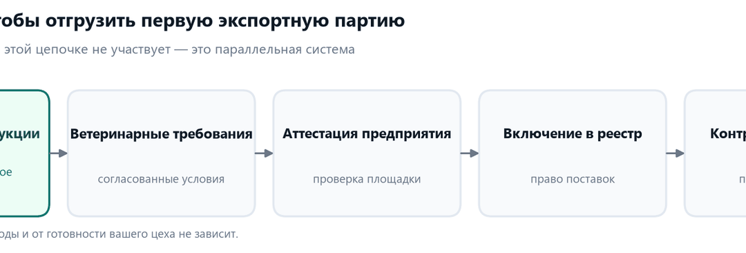 Схема получения права на экспорт мяса: протокол по продукции, ветеринарные требования, аттестация предприятия, реестр, контракт