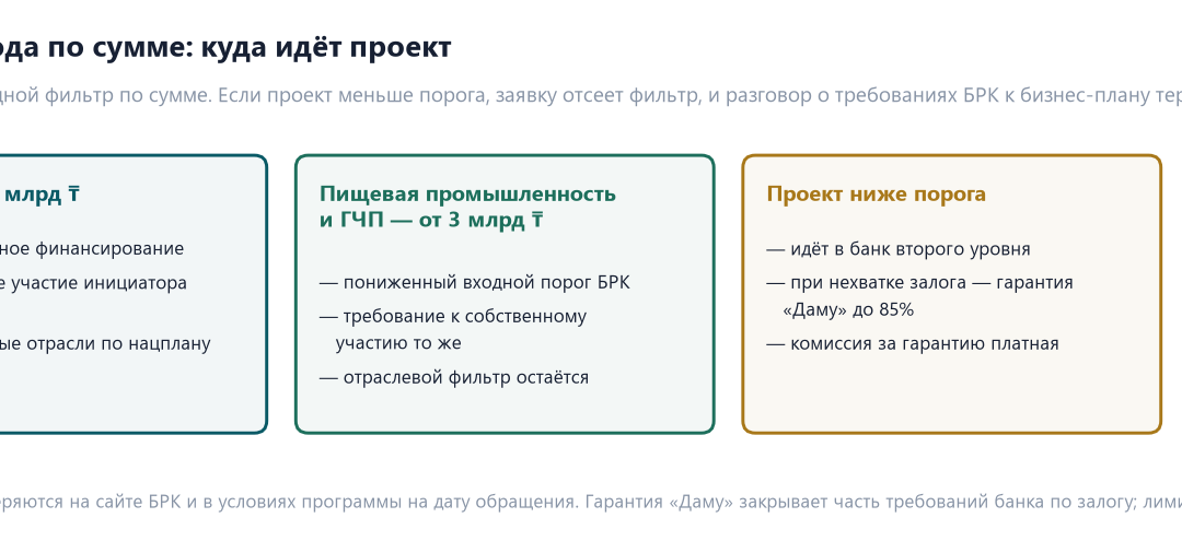 Три карточки порога входа по сумме: проект от 7 млрд тенге — БРК с участием от 20%, пищевая промышленность и ГЧП от 3 млрд, проект ниже порога — банк второго уровня с гарантией «Даму» до 85%
